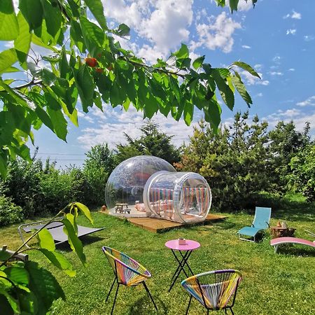 La Bulle Des Champs Bed & Breakfast Champmotteux Luaran gambar